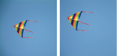 The Rule of Thirds cropping The Rule of Thirds cropping